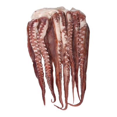 Peixe Congelado