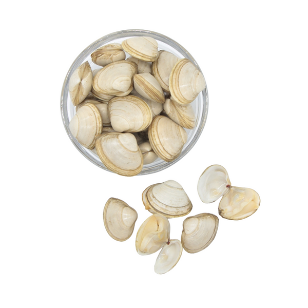 Ameijoa Branca 60/80 - Saco 1 Kg