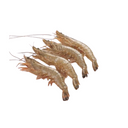 Camarão 20/30 Vannamei Pescanova - Caixa 2 Kg