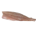 Filete de Corvina PL 6 KG - Uni